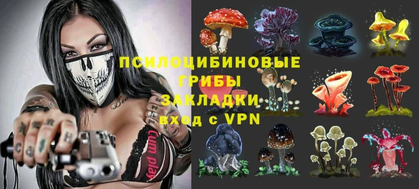 МДПВ Лагань