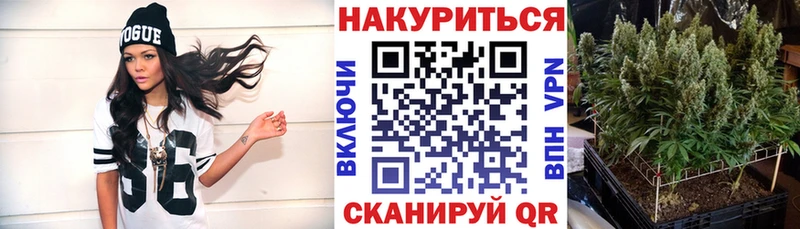 Купить  Макарьев  Конопля гибрид 